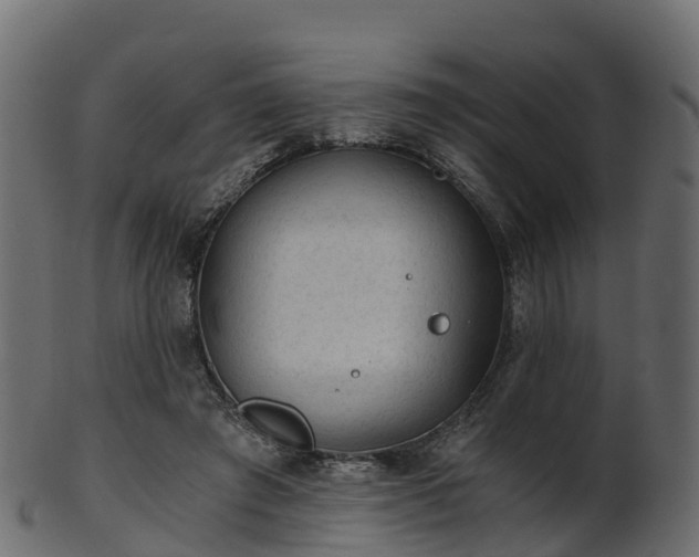 X0000101110401200807031744