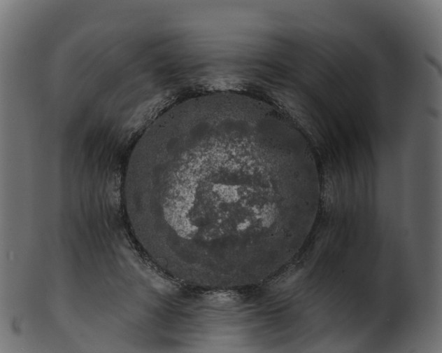 X0000101110402200807031744