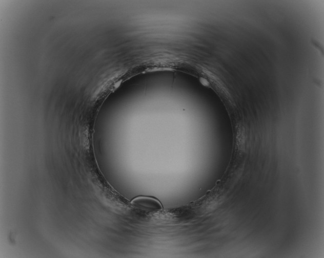 X0000101110403200807031744