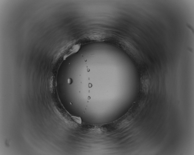 X0000101110404200807031744