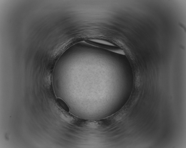 X0000101110405200807031744