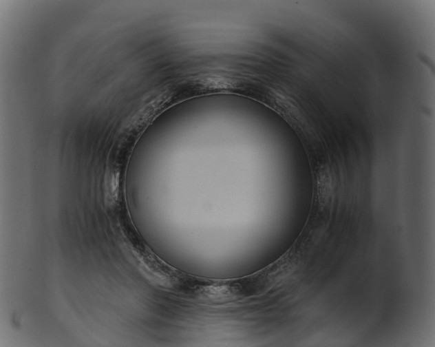 X0000101110406200807031744