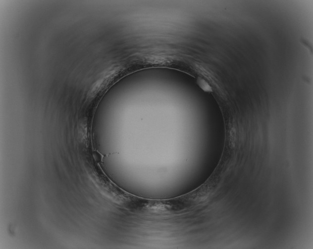 X0000101110407200807031744