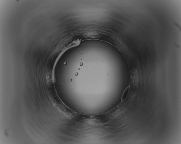X0000101110408200807031744
