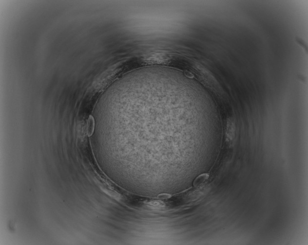 X0000101110409200807031744