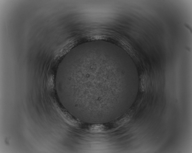 X0000101110410200807031744