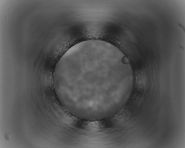 X0000101110411200807031744