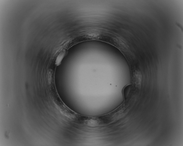 X0000101110412200807031744