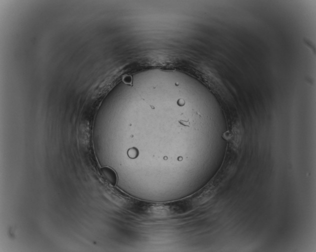 X0000101110413200807031744