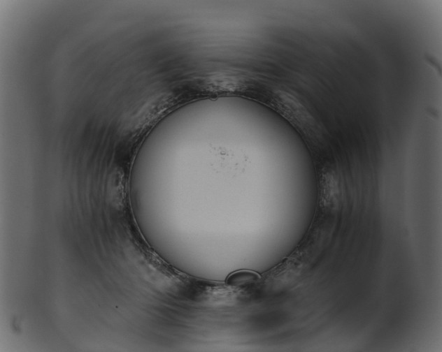 X0000101110414200807031744