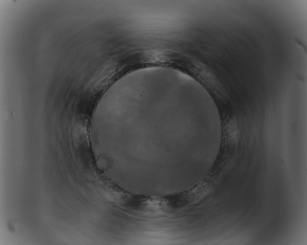 X0000101110415200807031744