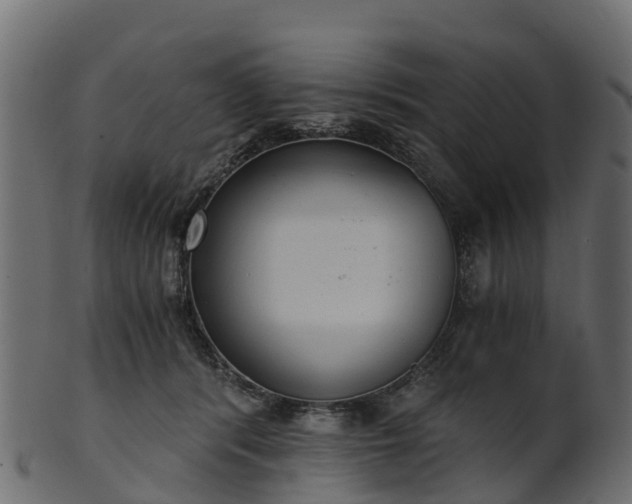 X0000101110416200807031744