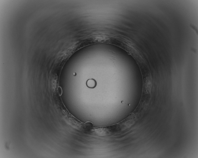 X0000101110417200807031744