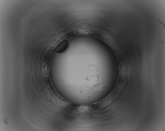 X0000101110418200807031744