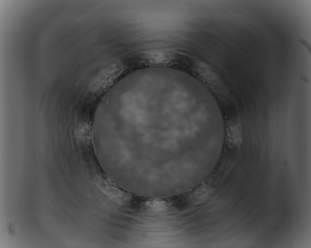 X0000101110419200807031744
