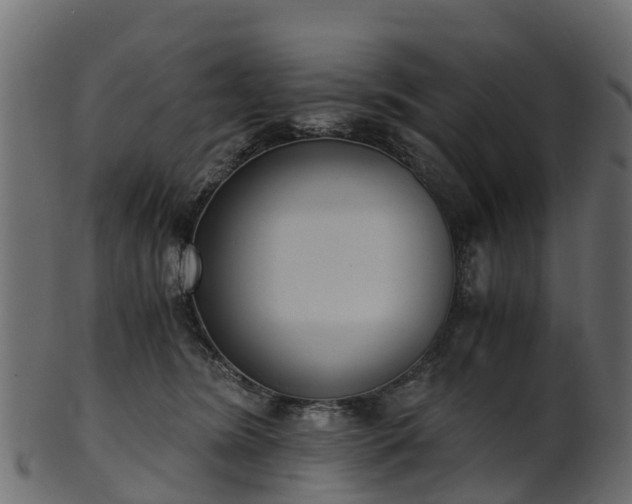X0000101110420200807031744
