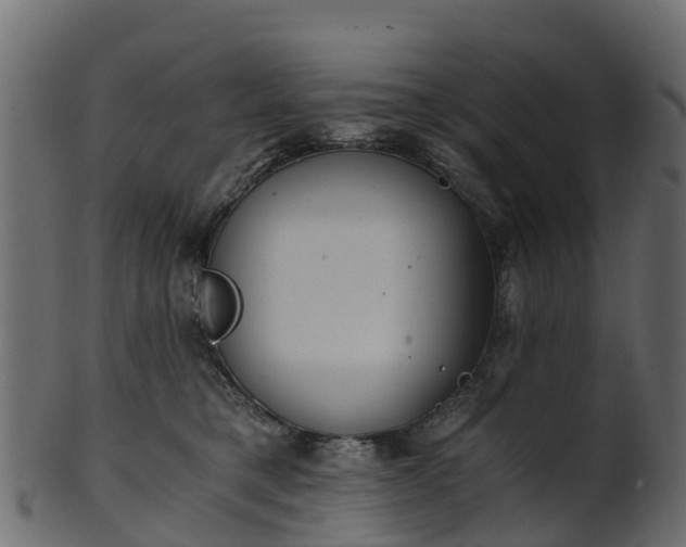 X0000101110421200807031744