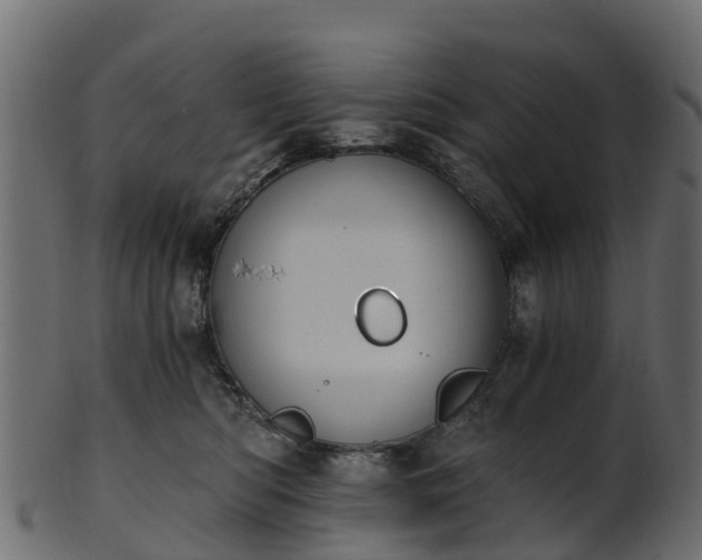 X0000101110422200807031744
