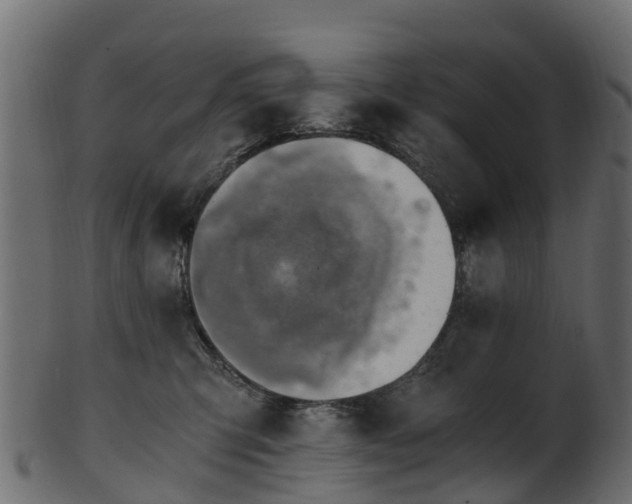 X0000101110423200807031744