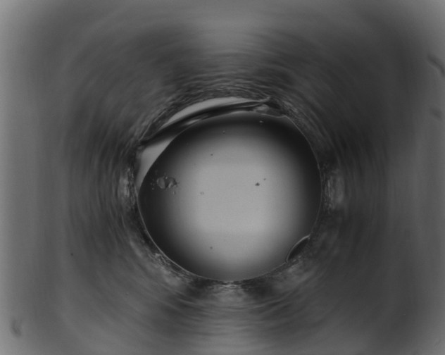 X0000101110424200807031744
