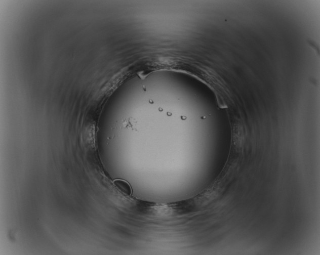 X0000101110425200807031744