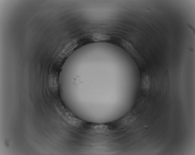 X0000101110426200807031744
