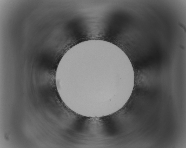 X0000101110427200807031744