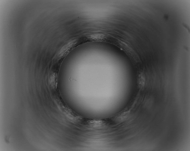 X0000101110428200807031744