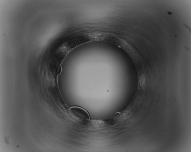 X0000101110429200807031744