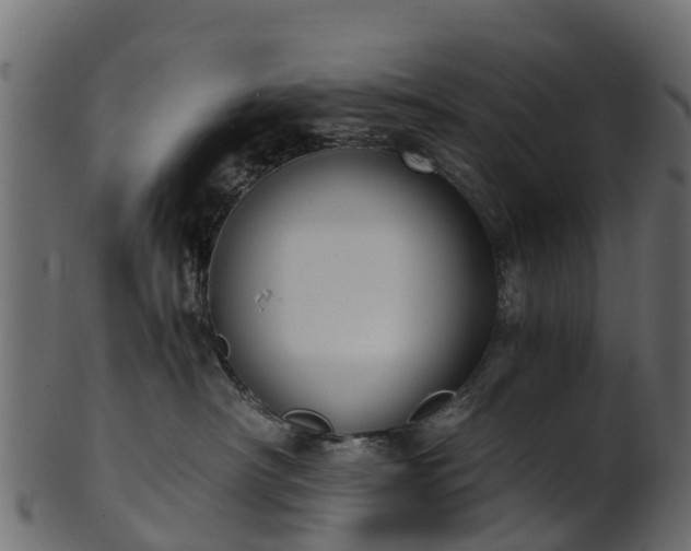 X0000101110430200807031744