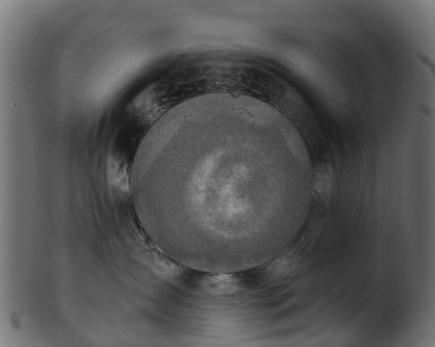 X0000101110431200807031744