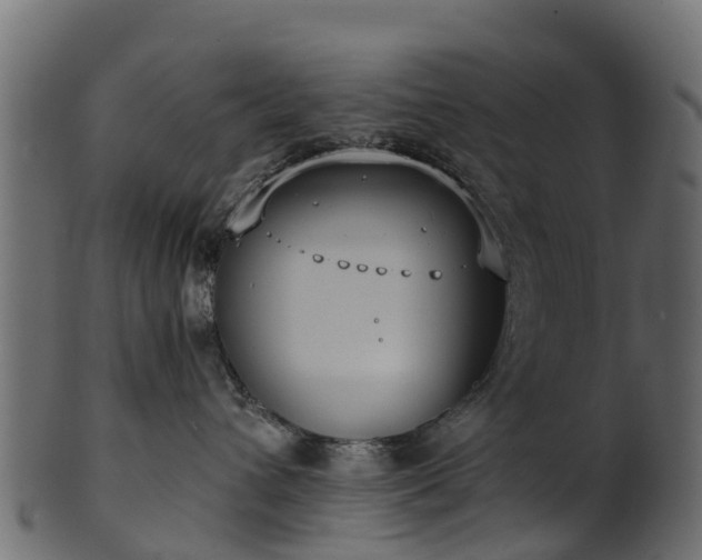 X0000101110432200807031744