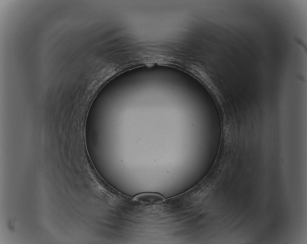X0000101110433200807031743