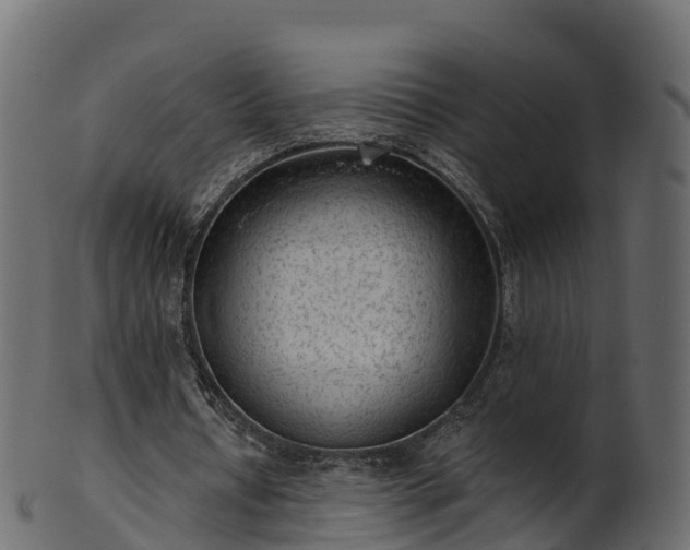 X0000101110434200807031743