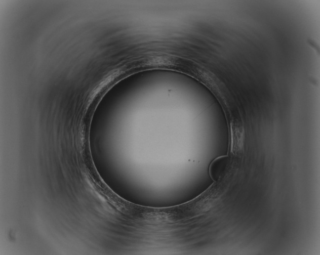 X0000101110435200807031743