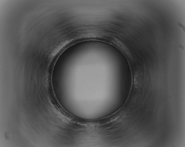 X0000101110436200807031743