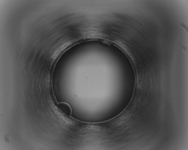 X0000101110437200807031743