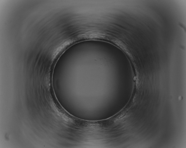 X0000101110438200807031743