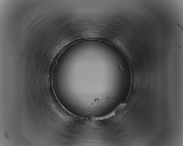 X0000101110439200807031743