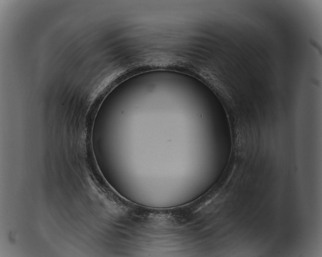 X0000101110440200807031743