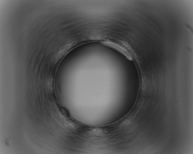 X0000101110441200807031743