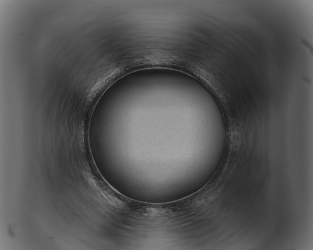 X0000101110442200807031743