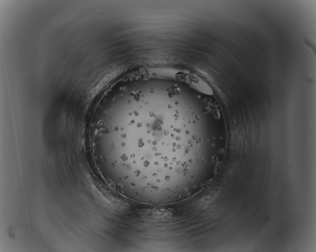 X0000101110443200807031743