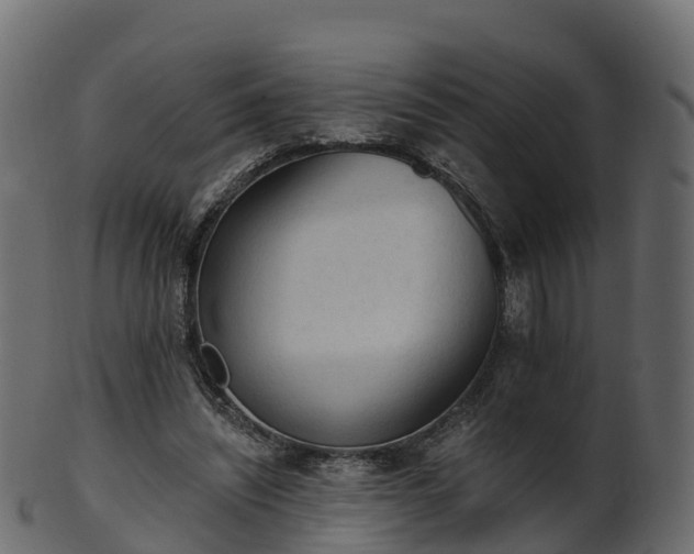 X0000101110444200807031743