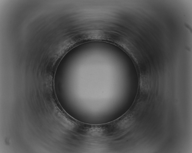 X0000101110445200807031743