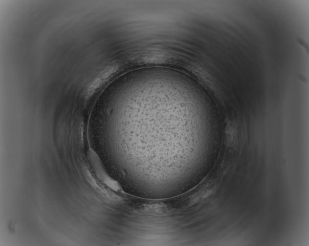 X0000101110446200807031743