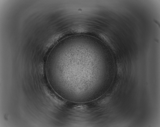 X0000101110447200807031743