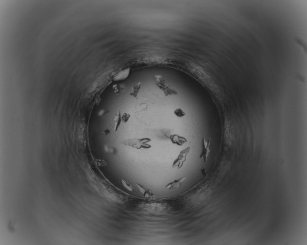 X0000101110449200807031743