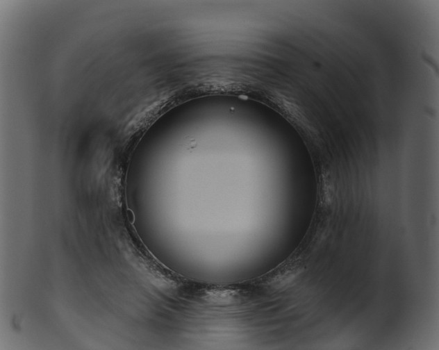 X0000101110450200807031743