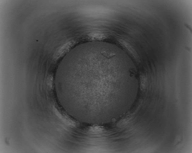 X0000101110451200807031743